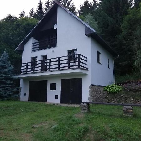 Chata Na Lipne Lipno nad Vltavou Extérieur photo